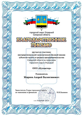 Деловая миссия 2017